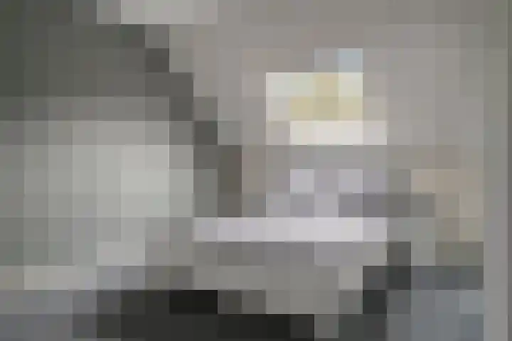 Volkerak 7 Terneuzen thumbnail 27
