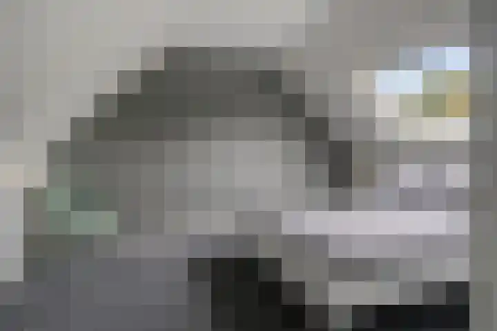 Volkerak 7 Terneuzen thumbnail 28