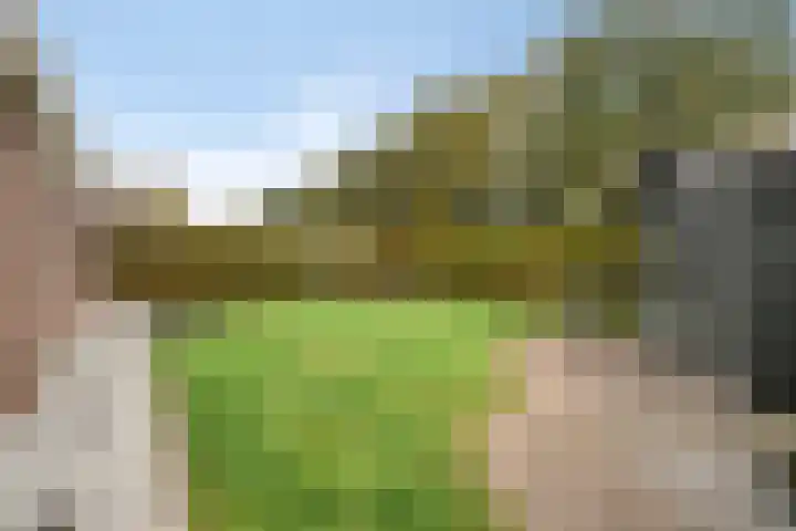 Volkerak 7 Terneuzen thumbnail 30