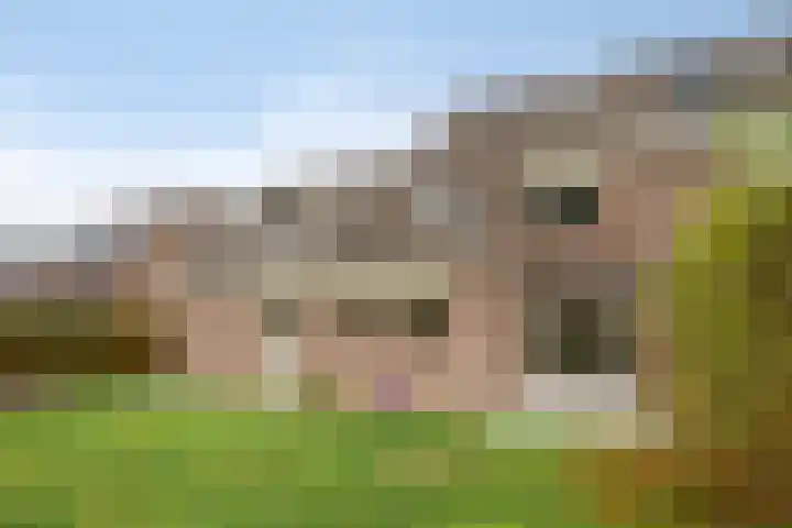 Volkerak 7 Terneuzen thumbnail 31