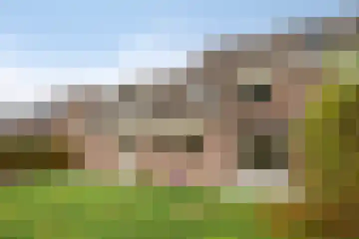 Volkerak 7 Terneuzen thumbnail 4