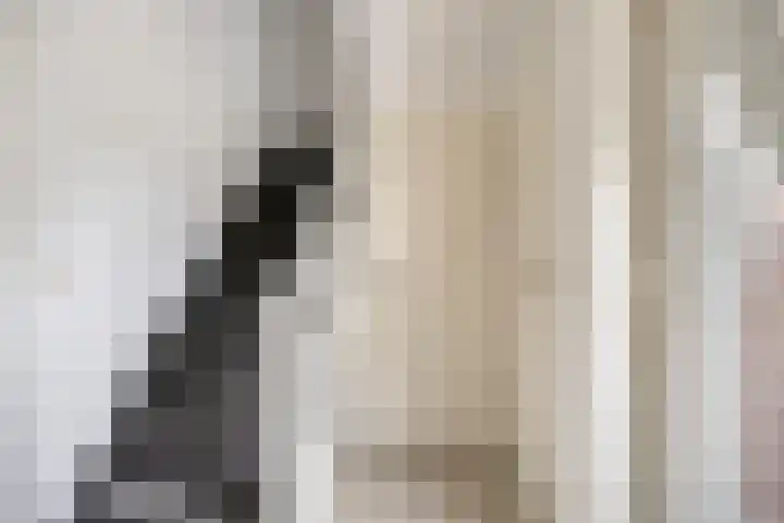 Volkerak 7 Terneuzen thumbnail 6