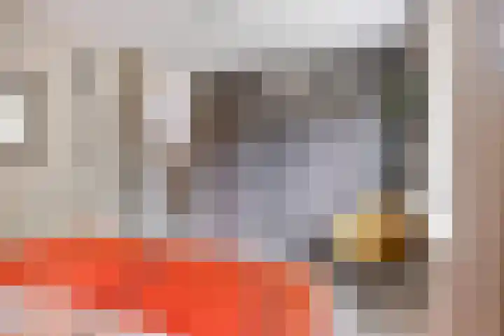 Volkerakpad 1 Almere thumbnail 18