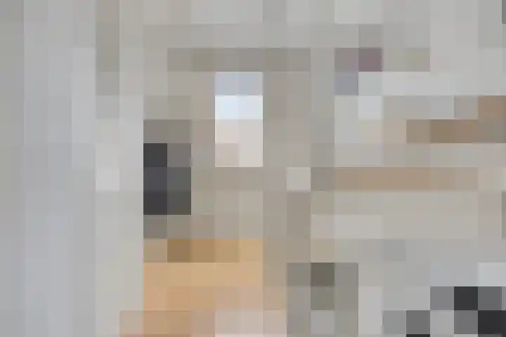 Volkerakpad 1 Almere thumbnail 21