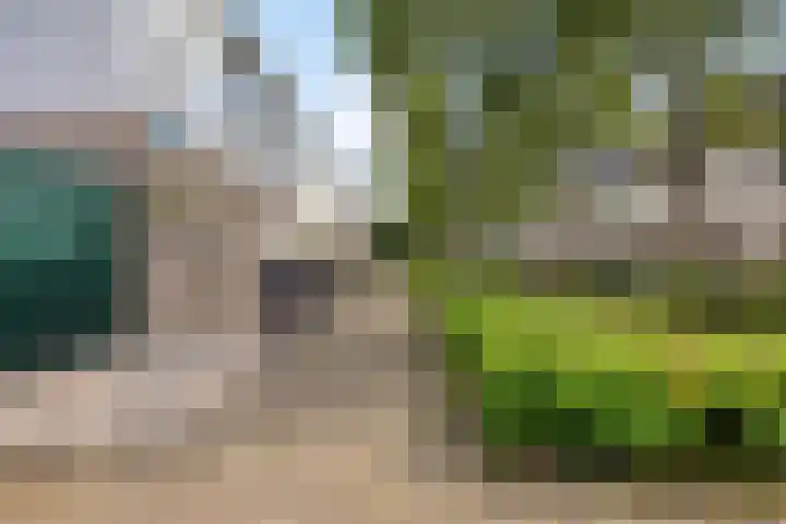 Volkerakpad 1 Almere thumbnail 5