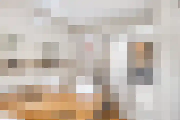 Volkerakpad 1 Almere thumbnail 9