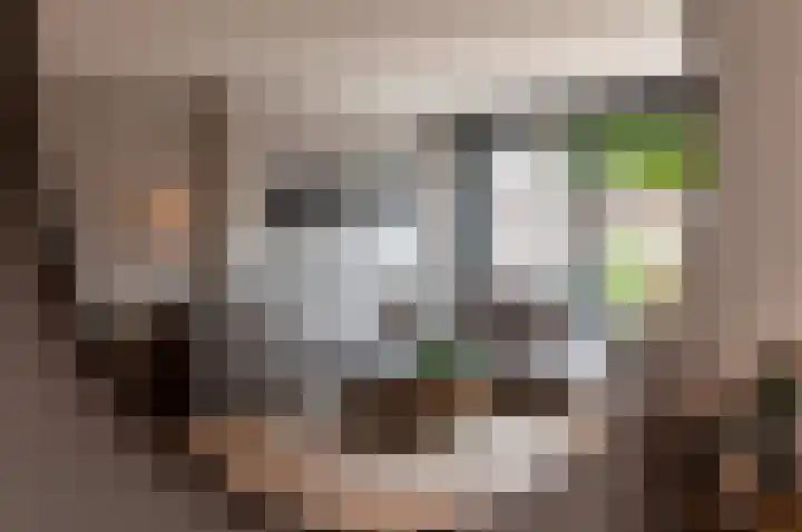 Volkerakpad 14 Almere thumbnail 10