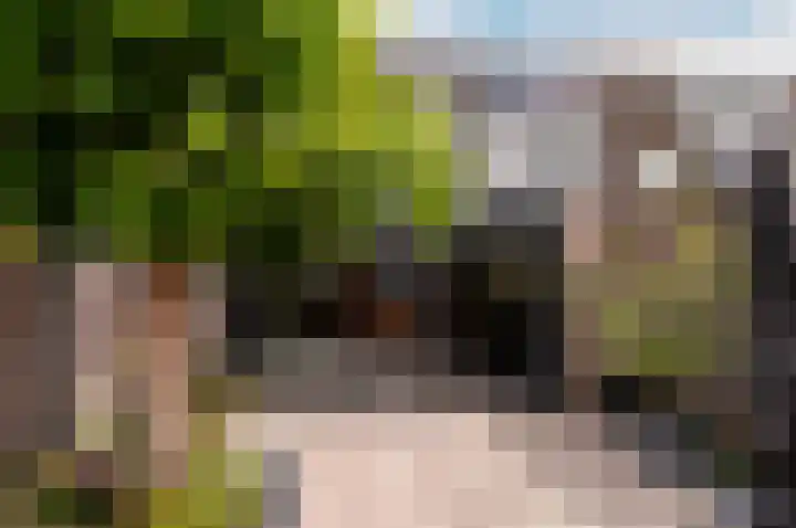 Volkerakpad 14 Almere thumbnail 17