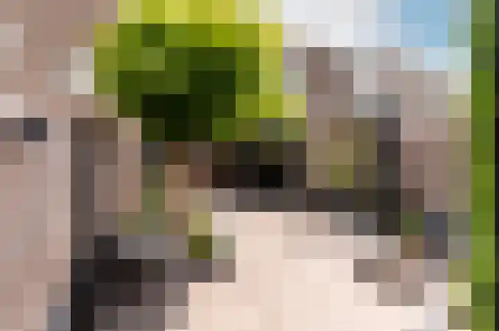 Volkerakpad 14 Almere thumbnail 20