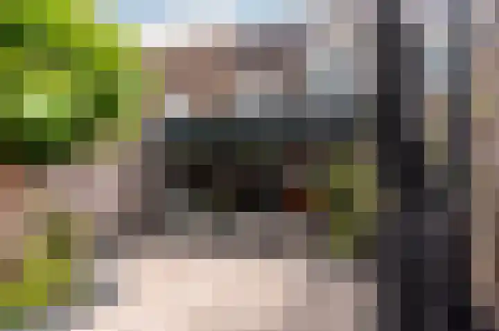 Volkerakpad 14 Almere thumbnail 21