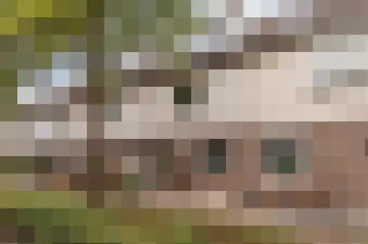 Volkerakpad 14 Almere thumbnail 34