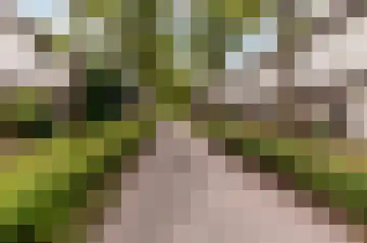 Volkerakpad 14 Almere thumbnail 35