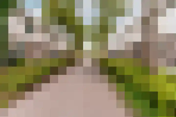 Volkerakpad 14 Almere thumbnail 36