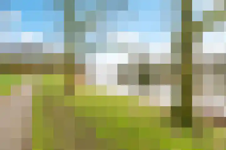 Volkerakpad 14 Almere thumbnail 41