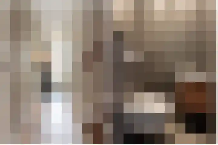 Volkerakpad 14 Almere thumbnail 7