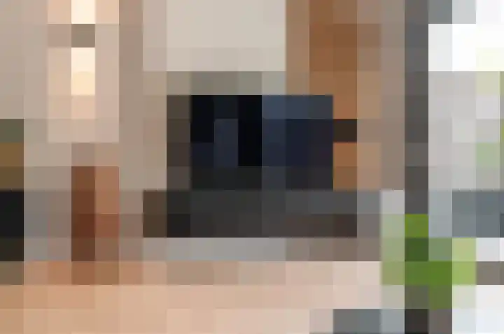 Volkerakpad 14 Almere thumbnail 9