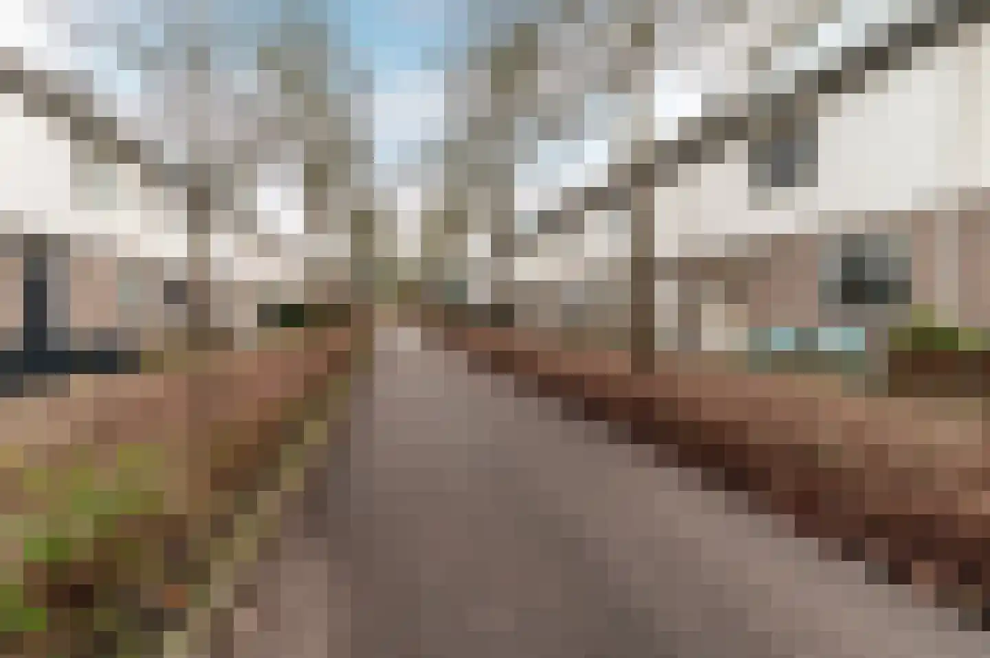 Volkerakpad 6 Almere thumbnail 31