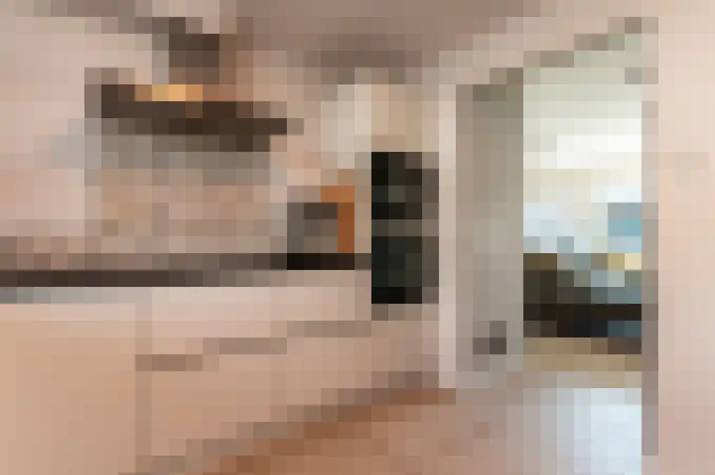 Volkerakpad 6 Almere thumbnail 6