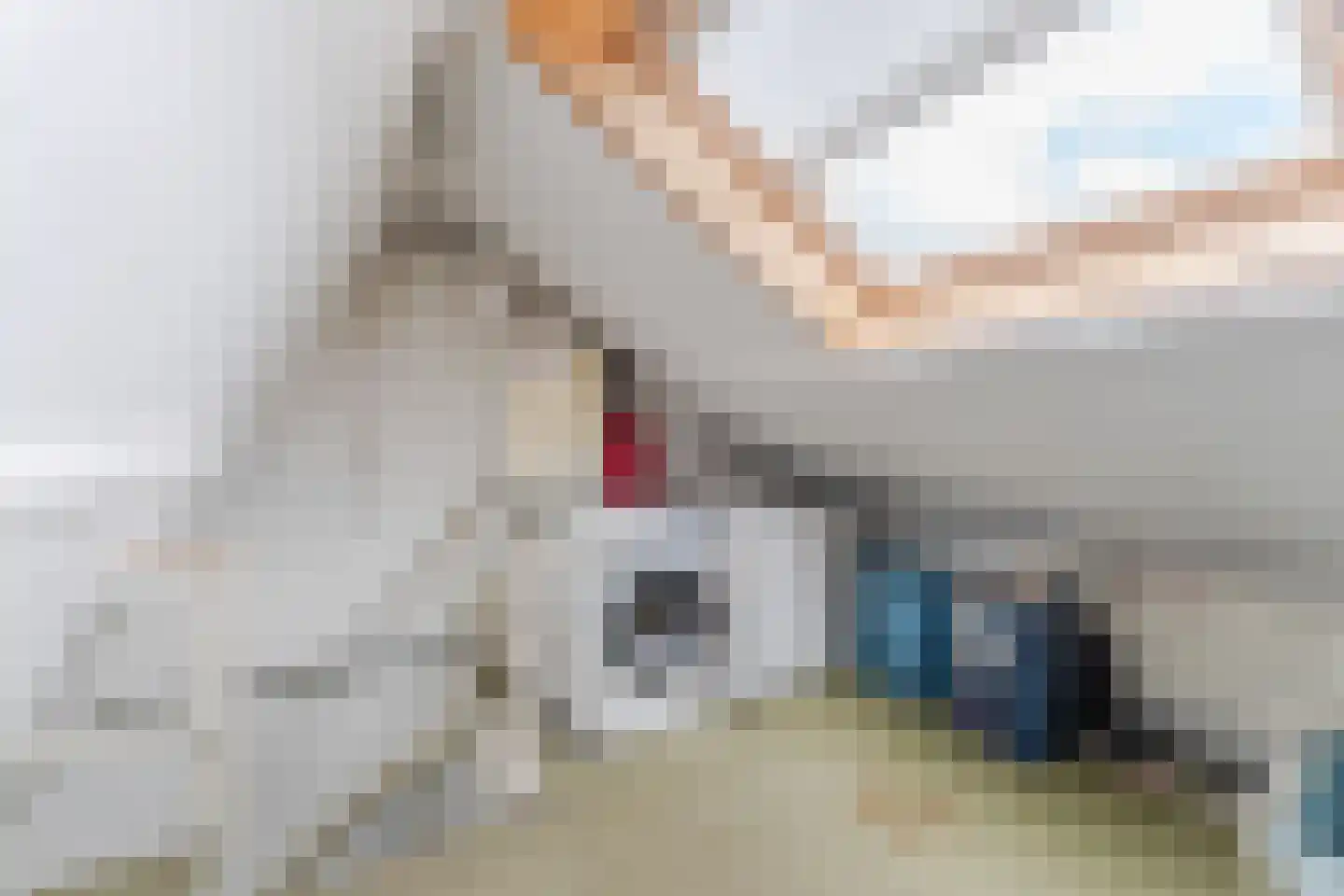 Volkerakstraat 10 Utrecht thumbnail 33