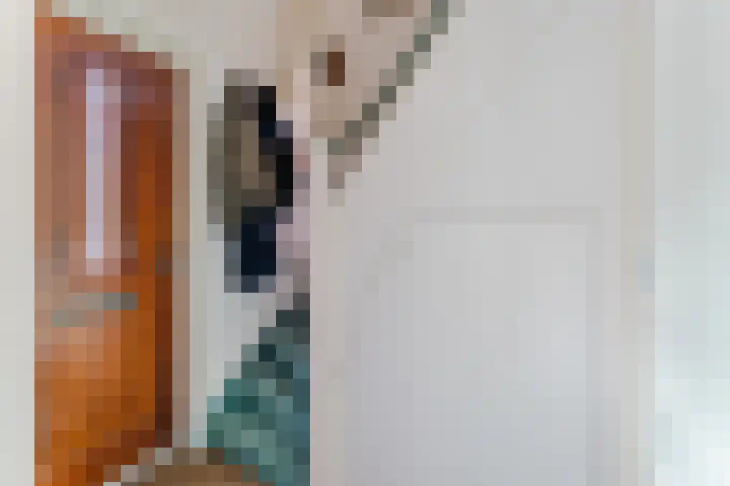 Volkerakstraat 10 Utrecht thumbnail 5