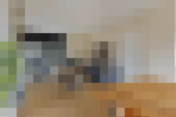 Volkerakstraat 15 Herkingen thumbnail 11