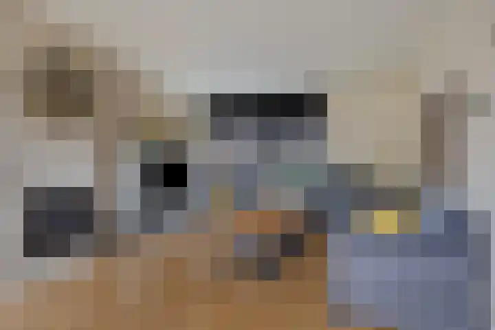 Volkerakstraat 15 Herkingen thumbnail 13