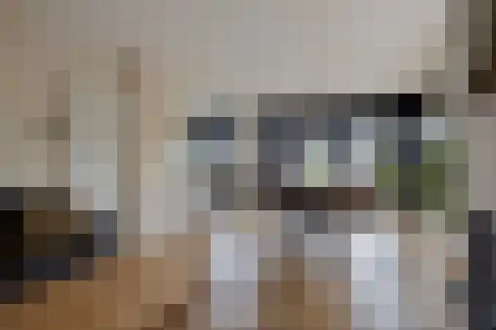 Volkerakstraat 15 Herkingen thumbnail 14