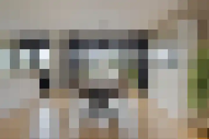 Volkerakstraat 15 Herkingen thumbnail 15
