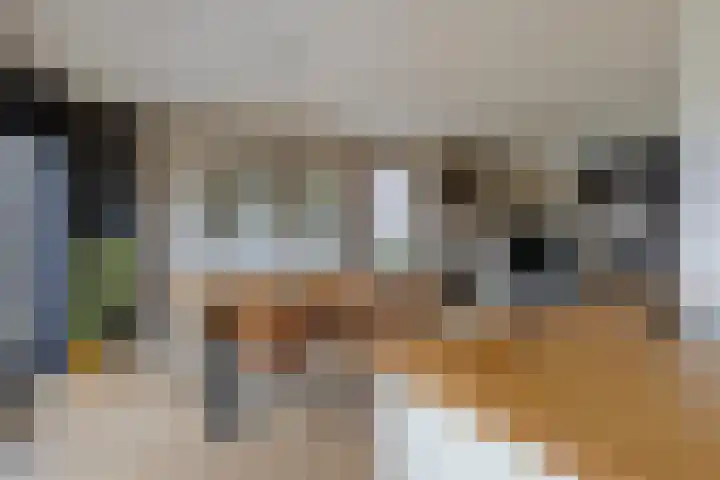 Volkerakstraat 15 Herkingen thumbnail 18