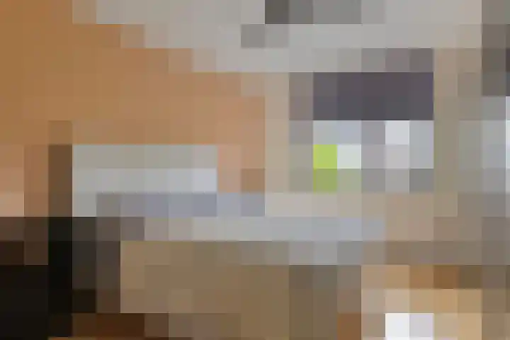 Volkerakstraat 15 Herkingen thumbnail 21