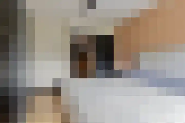 Volkerakstraat 15 Herkingen thumbnail 22
