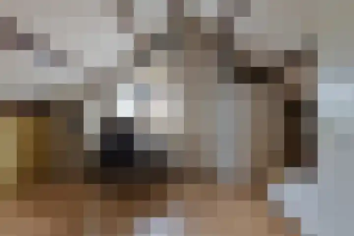 Volkerakstraat 15 Herkingen thumbnail 24