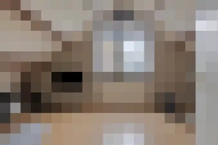 Volkerakstraat 15 Herkingen thumbnail 27