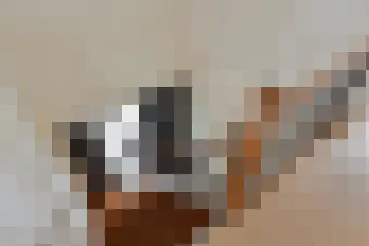 Volkerakstraat 15 Herkingen thumbnail 33