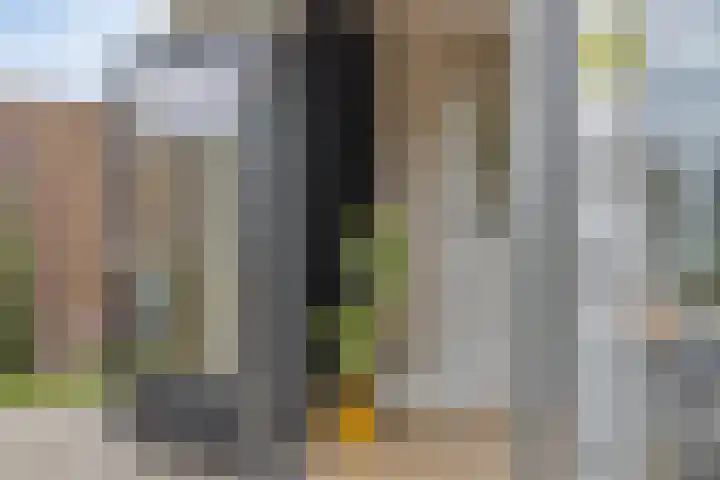 Volkerakstraat 15 Herkingen thumbnail 35