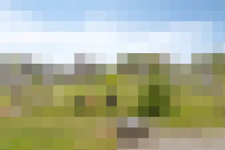 Volkerakstraat 15 Herkingen thumbnail 37