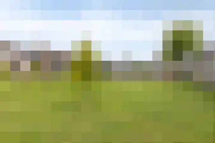 Volkerakstraat 15 Herkingen thumbnail 39