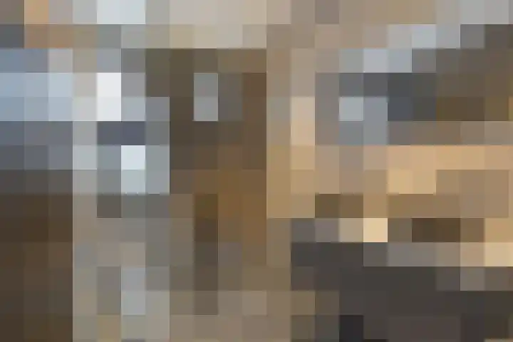Volkerakstraat 15 Herkingen thumbnail 4