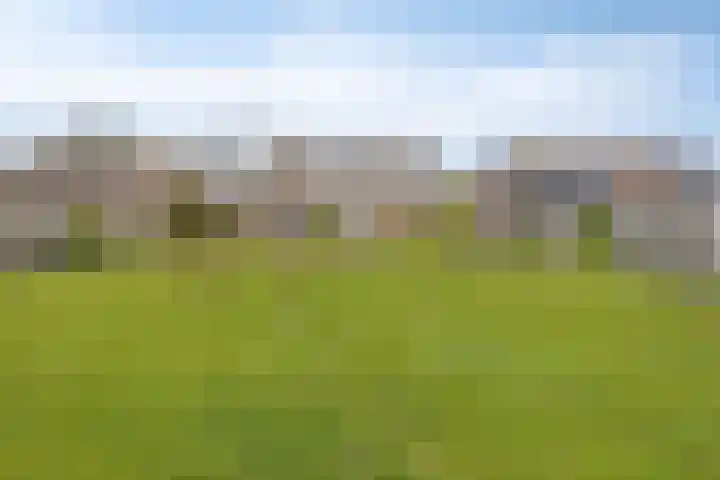 Volkerakstraat 15 Herkingen thumbnail 5