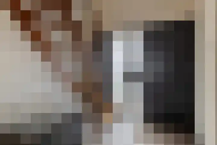 Volkerakstraat 15 Herkingen thumbnail 7
