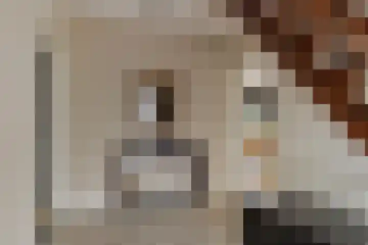 Volkerakstraat 15 Herkingen thumbnail 8