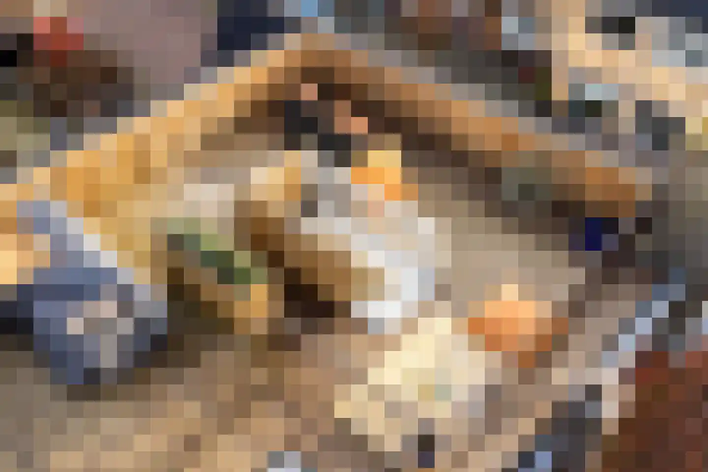 Volkerakstraat 19 BS Utrecht thumbnail 4