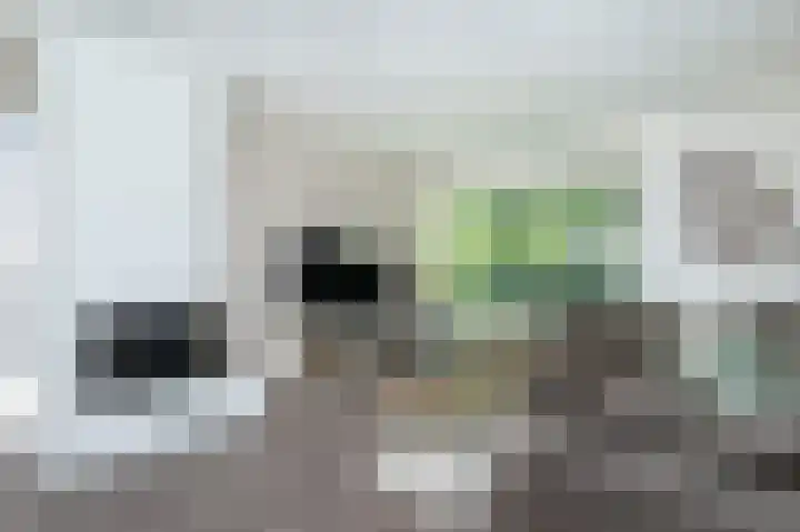 Volkerakstraat 19 Herkingen thumbnail 10