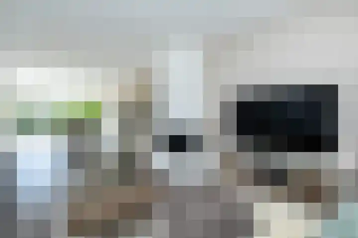 Volkerakstraat 19 Herkingen thumbnail 12