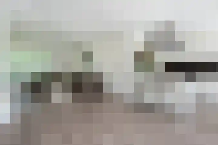 Volkerakstraat 19 Herkingen thumbnail 13
