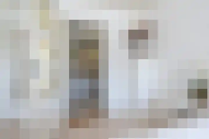 Volkerakstraat 19 Herkingen thumbnail 21
