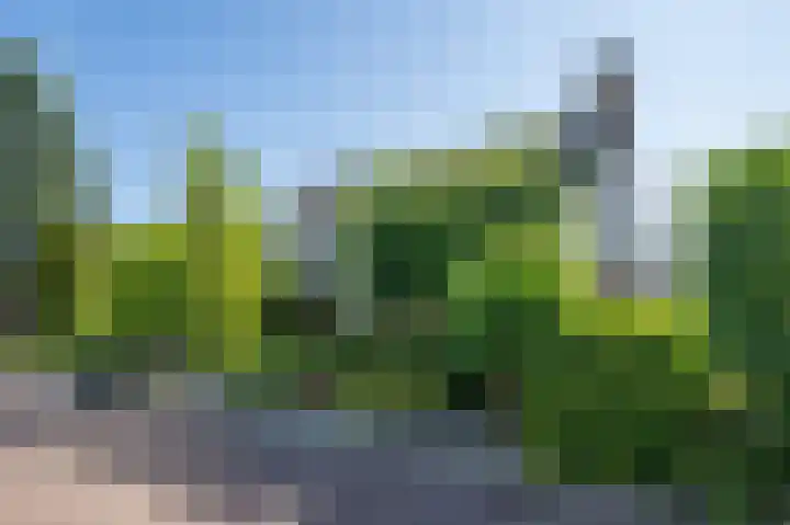 Volkerakstraat 19 Herkingen thumbnail 34
