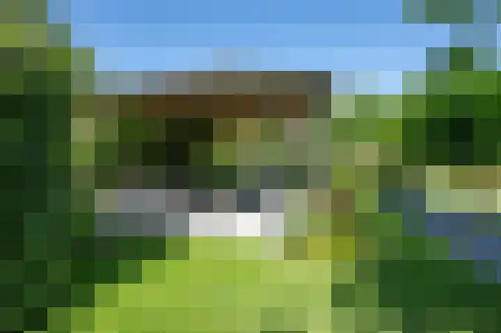 Volkerakstraat 19 Herkingen thumbnail 39