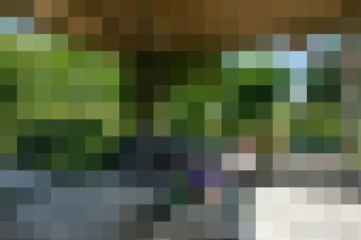 Volkerakstraat 19 Herkingen thumbnail 41