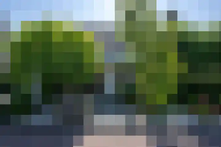 Volkerakstraat 19 Herkingen thumbnail 5